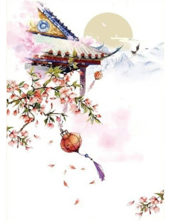 Đại Hán Phi Ca
